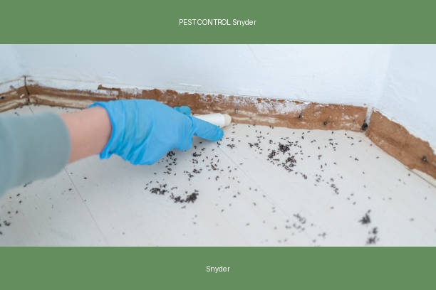 PEST CONTROL Snyder